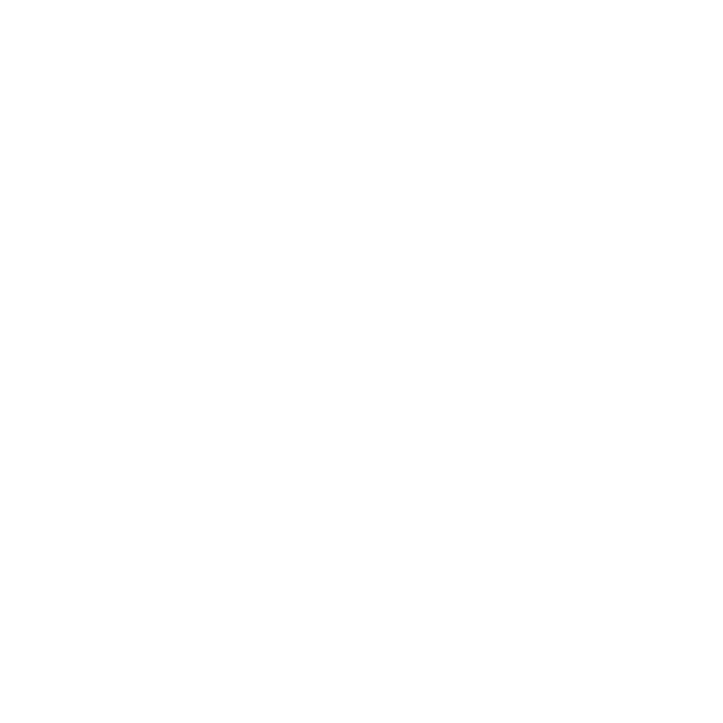 cleanalpin-gebaeudereinigung-tirol-logo-WHITE